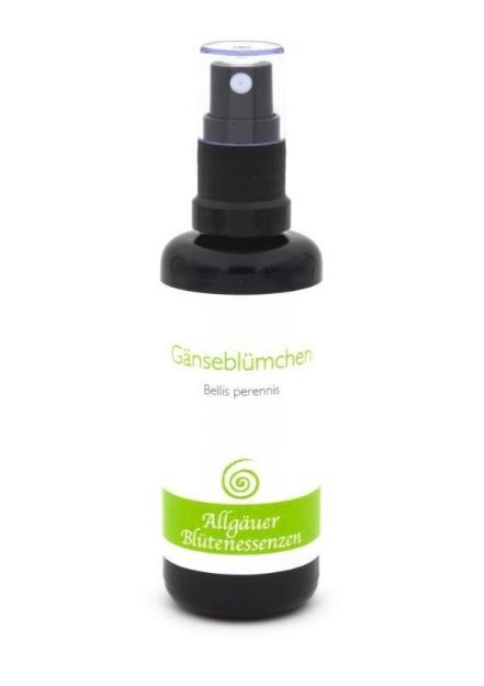 Bild von Allgäuer Blütenessenz Gänseblümchen 50 ml