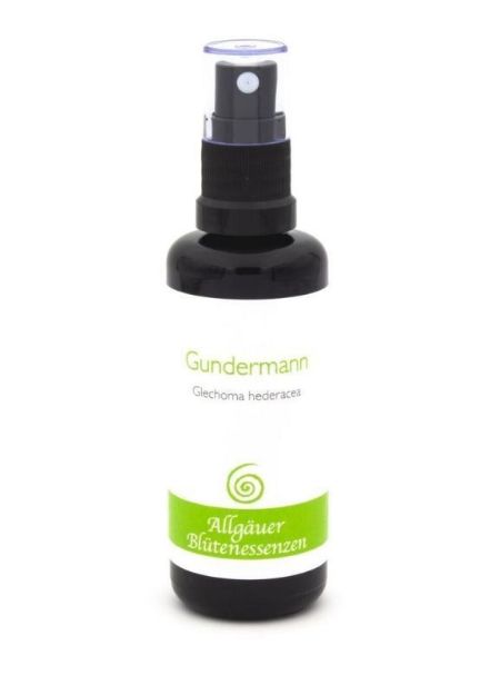 Bild von Allgäuer Blütenessenz Gundermann 50 ml