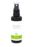 Bild von Allgäuer Blütenessenz Löwenzahn 50 ml