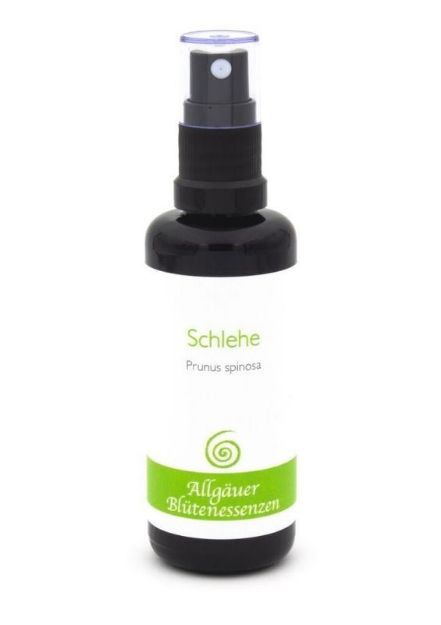 Bild von Allgäuer Blütenessenz Schlehe 50 ml
