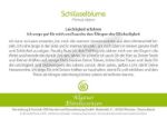 Bild von Allgäuer Blütenessenz Schlüsselblume 50 ml