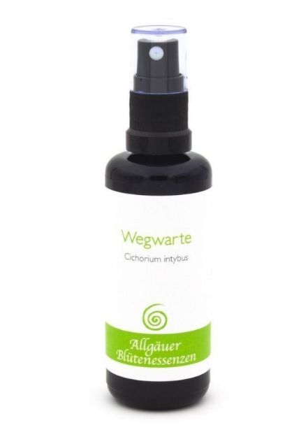 Bild von Allgäuer Blütenessenz Wegwarte 50 ml