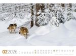 Bild von Tierwelt Wald Kalender 2026