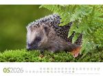 Bild von Tierwelt Wald Kalender 2026