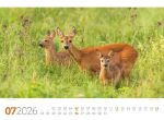 Bild von Tierwelt Wald Kalender 2026