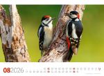 Bild von Tierwelt Wald Kalender 2026