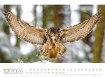 Bild von Tierwelt Wald Kalender 2026
