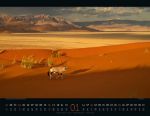Bild von Wildes Afrika Kalender 2026