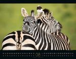 Bild von Wildes Afrika Kalender 2026