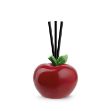 Bild von SCENT DIFFUSER APPLE RED CM. 8X8