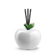 Bild von SCENT DIFFUSER APPLE WHITE CM. 10X10