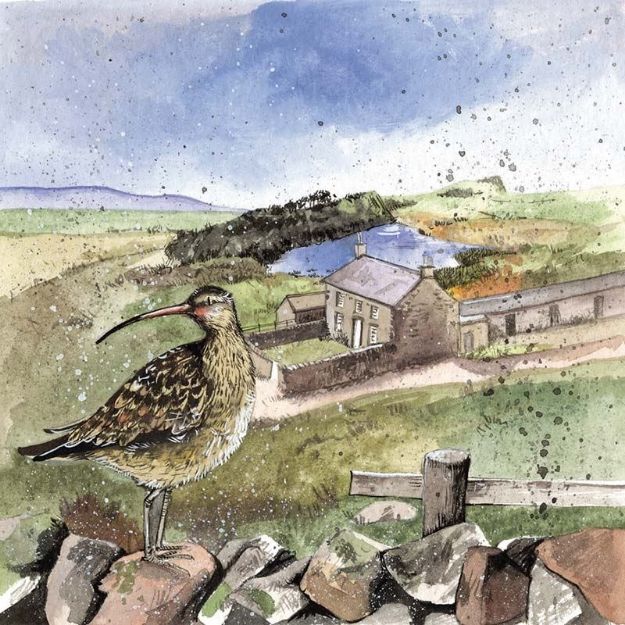 Bild von CURLEW'S REST BLANK CARD
