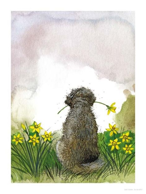 Bild von DOODLE AND DAFFODILS