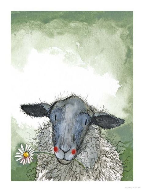 Bild von SHEEP AND DAISY
