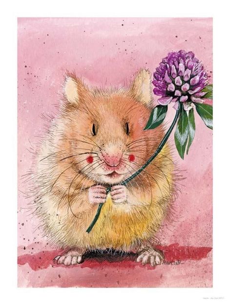 Bild von HAMSTER