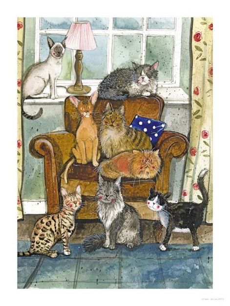 Bild von CAT HOUSE
