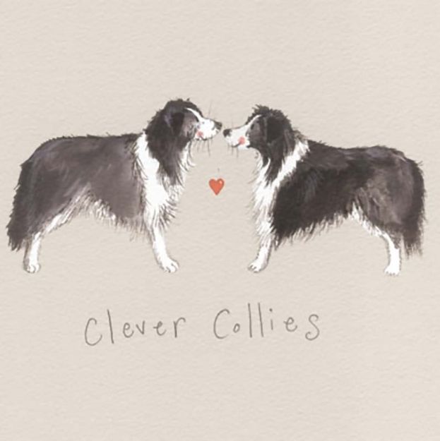 Bild von CLEVER COLLIES