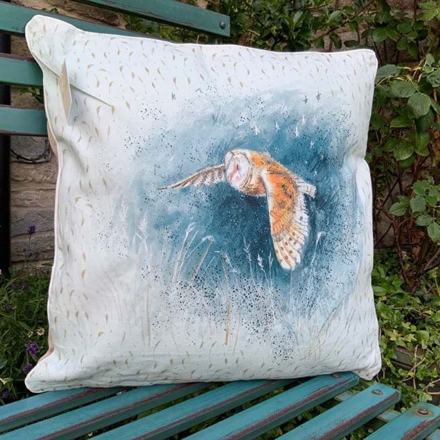 Bild von BARN OWL