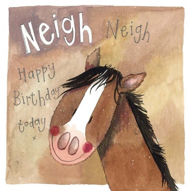 Bild von NEIGH BIRTHDAY CARD