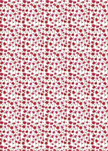 Bild von POPPIES GIFT WRAP