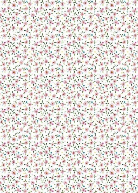 Bild von DAISIES GIFT WRAP