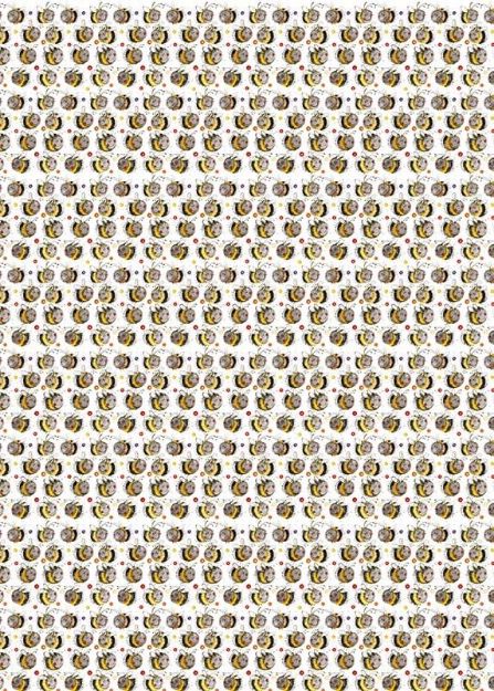 Bild von BEES GIFT WRAP
