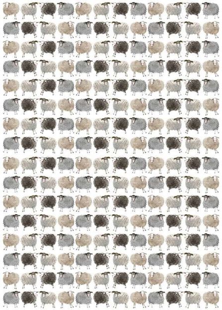 Bild von SHEEP GIFT WRAP