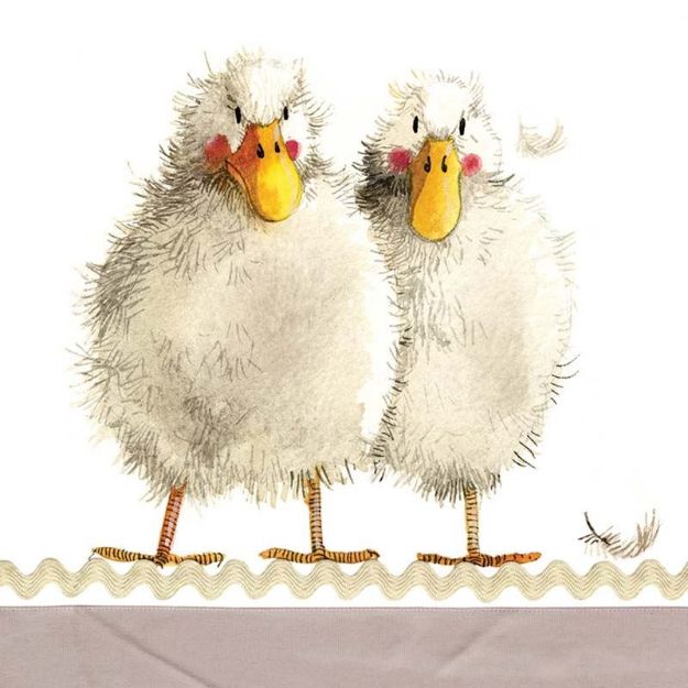 Bild von DUCK DUO MINI MAGNETIC NOTEPAD