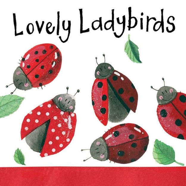 Bild von LOVELY LADYBIRDS MINI MAGNETIC NOTEPAD