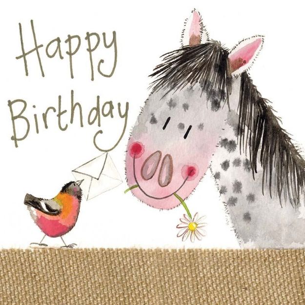 Bild von PRETTY PONY BIRTHDAY CARD
