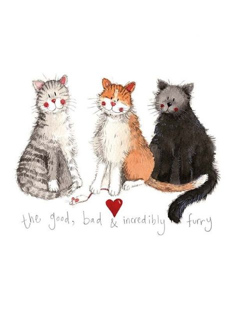 Bild von THE GOOD THE BAD