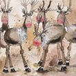 Bild von REINDEER HERD