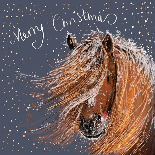 Bild von PONY IN THE SNOW