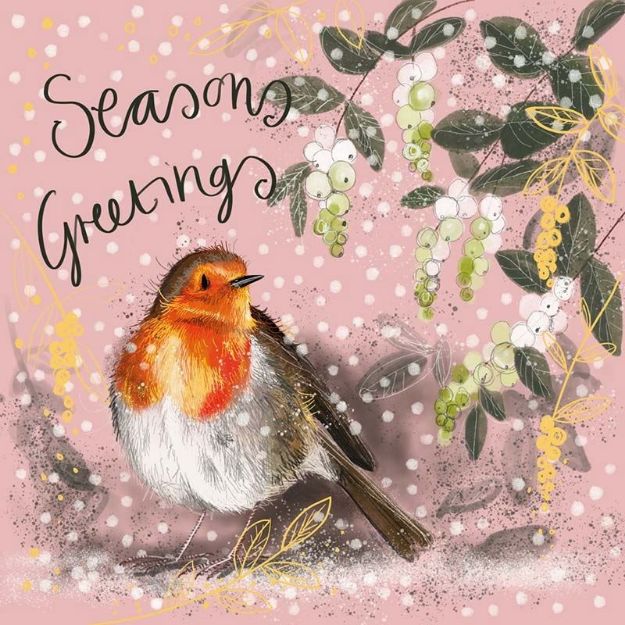 Bild von ROBIN AND BERRIES