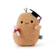 Bild von Noodoll Classic Plush Toy 20 cm Ricespud Graduate, VE-4