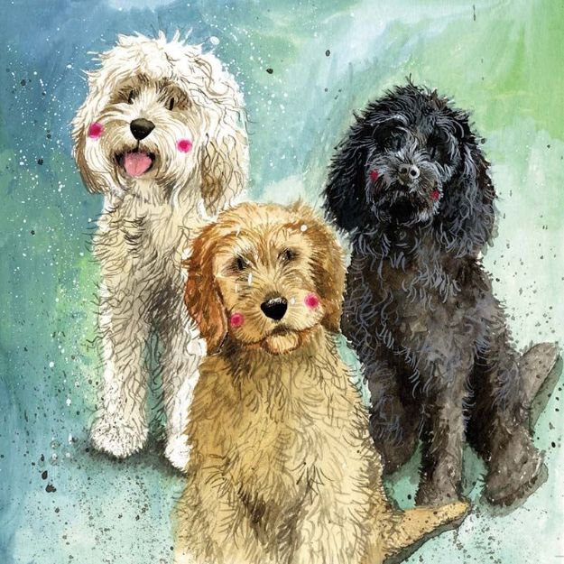 Bild von COCKAPOOS BLANK CARD