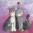 Bild von PURRFECT PAIR CARD