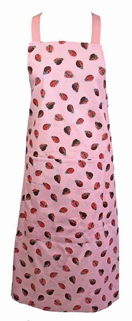 Bild von LADYBIRDS