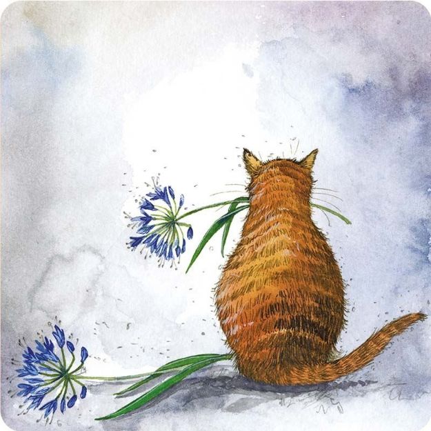 Bild von CAT AND AGAPANTHUS