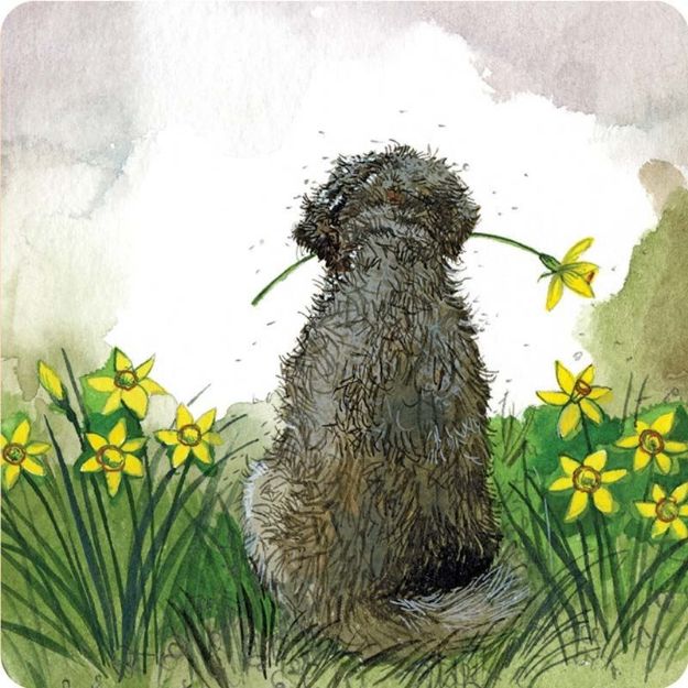 Bild von DOODLE AND DAFFODILS