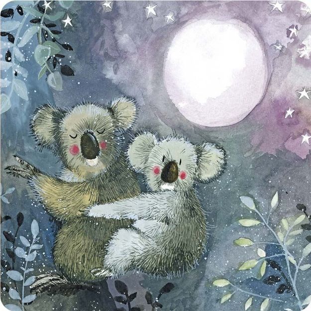 Bild von KOALAS