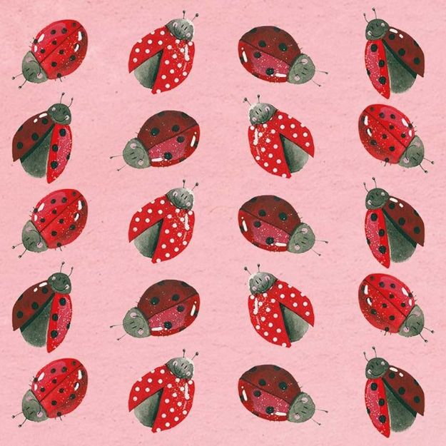 Bild von LADYBIRDS COASTER