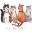 Bild von MARVELLOUS MOGGIES FRIDGE MAGNET