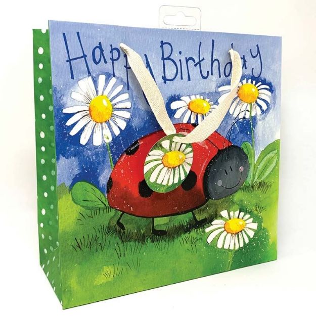 Bild von LITTLE LADYBIRD
