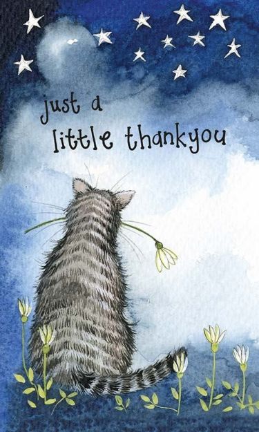 Bild von JUST A LITTLE THANK YOU CAT