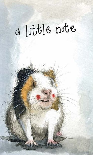 Bild von A LITTLE NOTE GUINEA PIG
