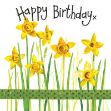 Bild von DAFFODILS BIRTHDAY CARD