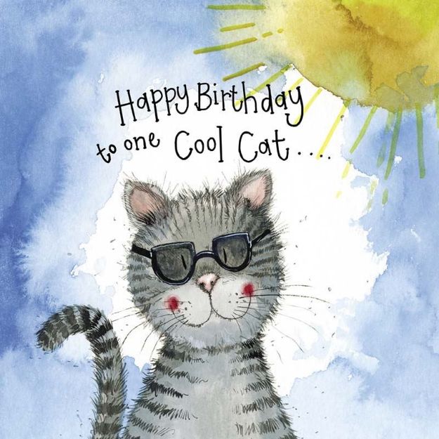 Bild von SUNSHINE COOL CAT BIRTHDAY FOIL CARD
