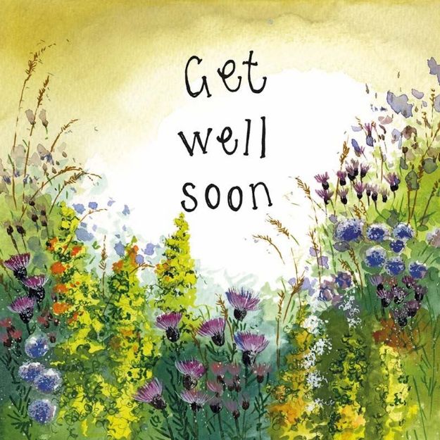 Bild von FLOWER MEADOW GET WELL SOON CARD