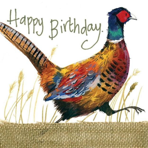 Bild von FUN AND GAME BIRTHDAY CARD